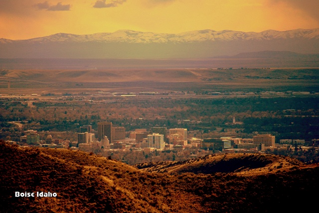 Boise Idaho Real Estate Agent